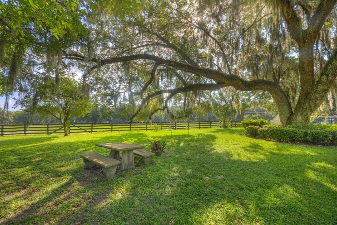 3840 Willow Avenue, Deland, FL 32720 Photo