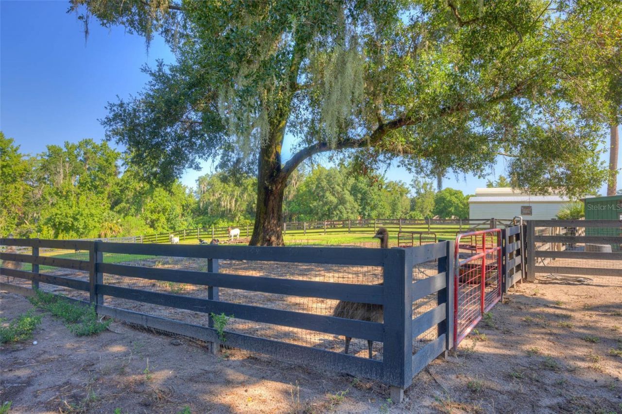 3840 Willow Avenue, Deland, FL 32720 Photo