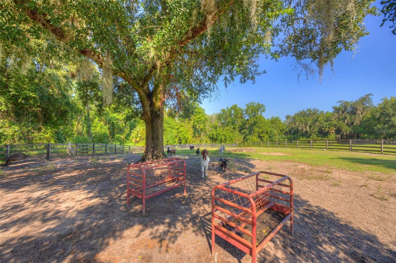 3840 Willow Avenue, Deland, FL 32720 Photo