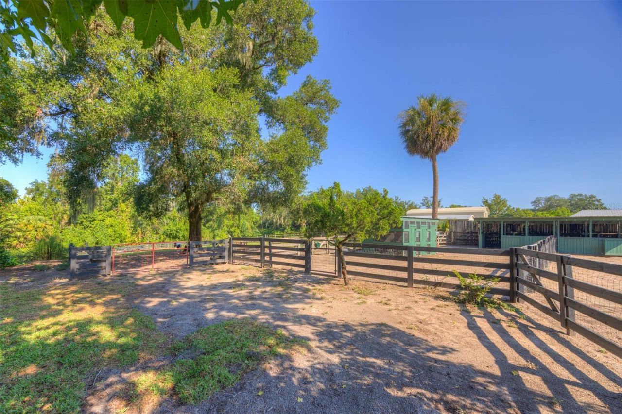 3840 Willow Avenue, Deland, FL 32720 Photo