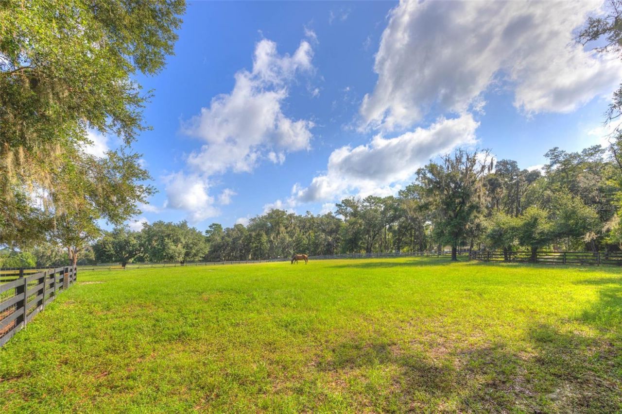 3840 Willow Avenue, Deland, FL 32720 Photo