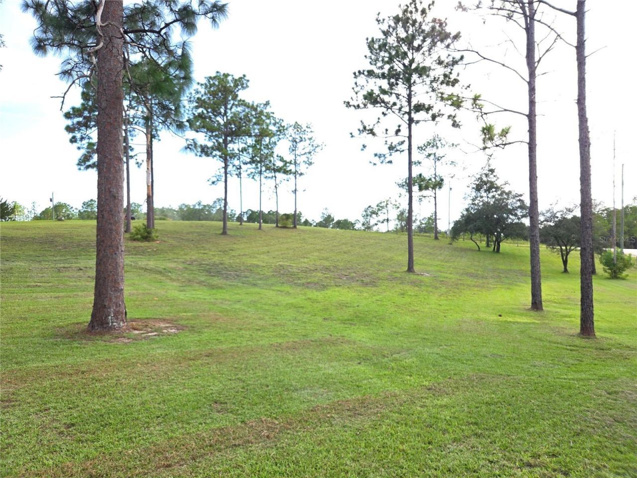 13030 SE 21st Place, Morriston, FL 32668 Photo