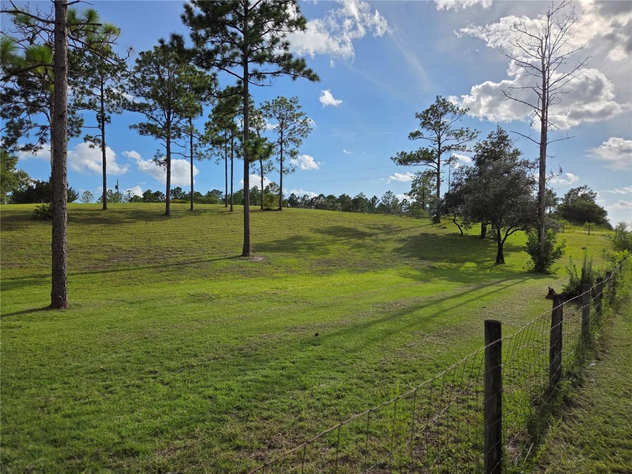 13030 SE 21st Place, Morriston, FL 32668 Photo