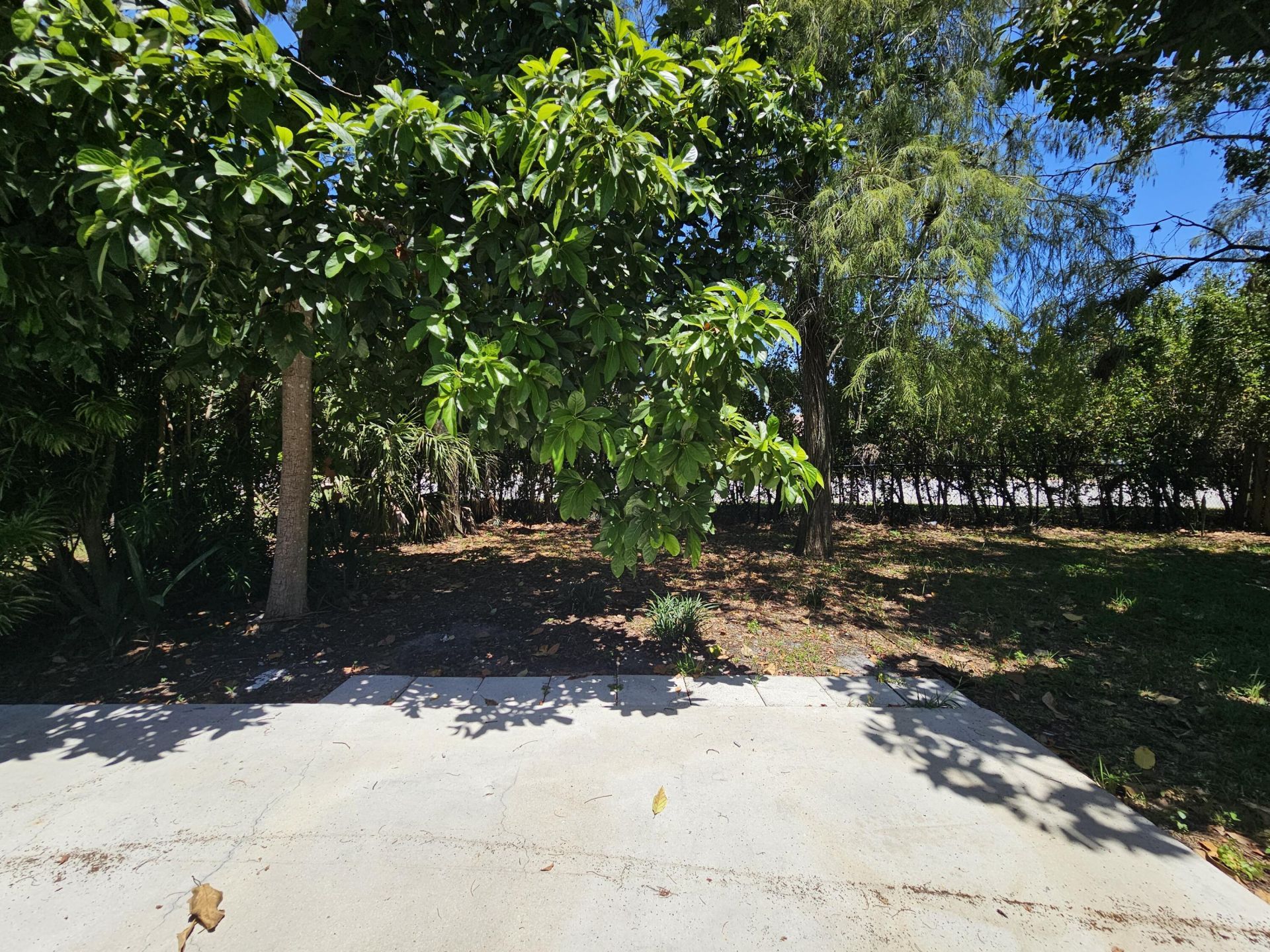 1878 Wisteria Street, Wellington, FL 33414 Photo
