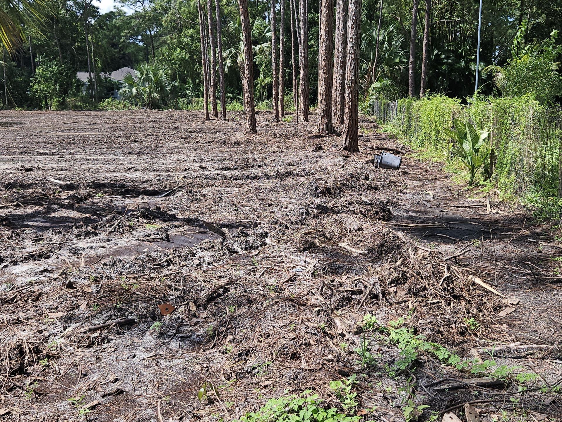 00000 82nd Lane N, The Acreage, FL 33470 Photo