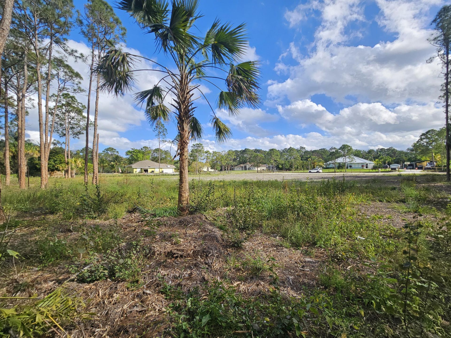 00000 82nd Lane N, The Acreage, FL 33470 Photo