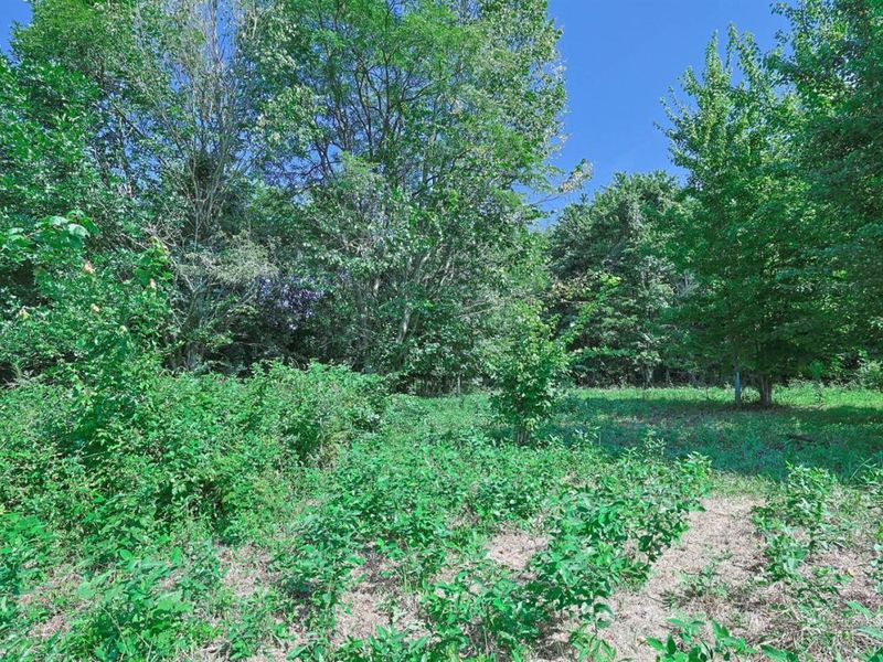 0 Richey Road, Franklin Township, OH 45120 Photo 6