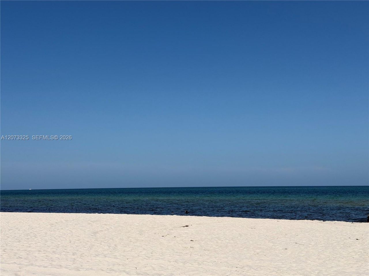 2457 Collins Ave , Unit 1405, Miami Beach, FL 33140 Photo