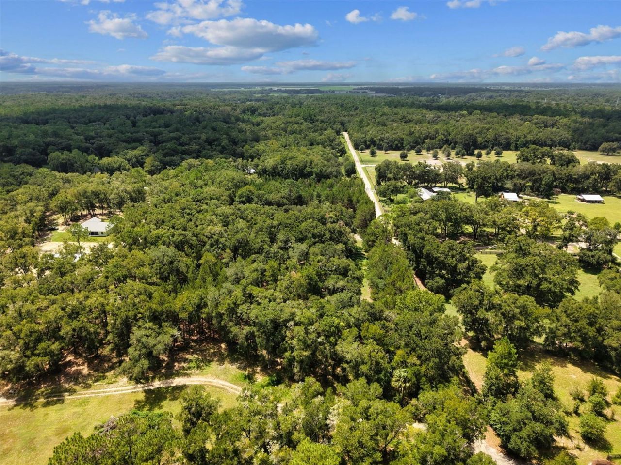 5581 NE 157th Terrace , Williston, FL 32696 Photo