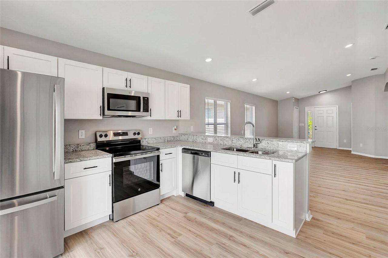 31107 Tagus Loop , Wesley Chapel, FL 33545 Photo