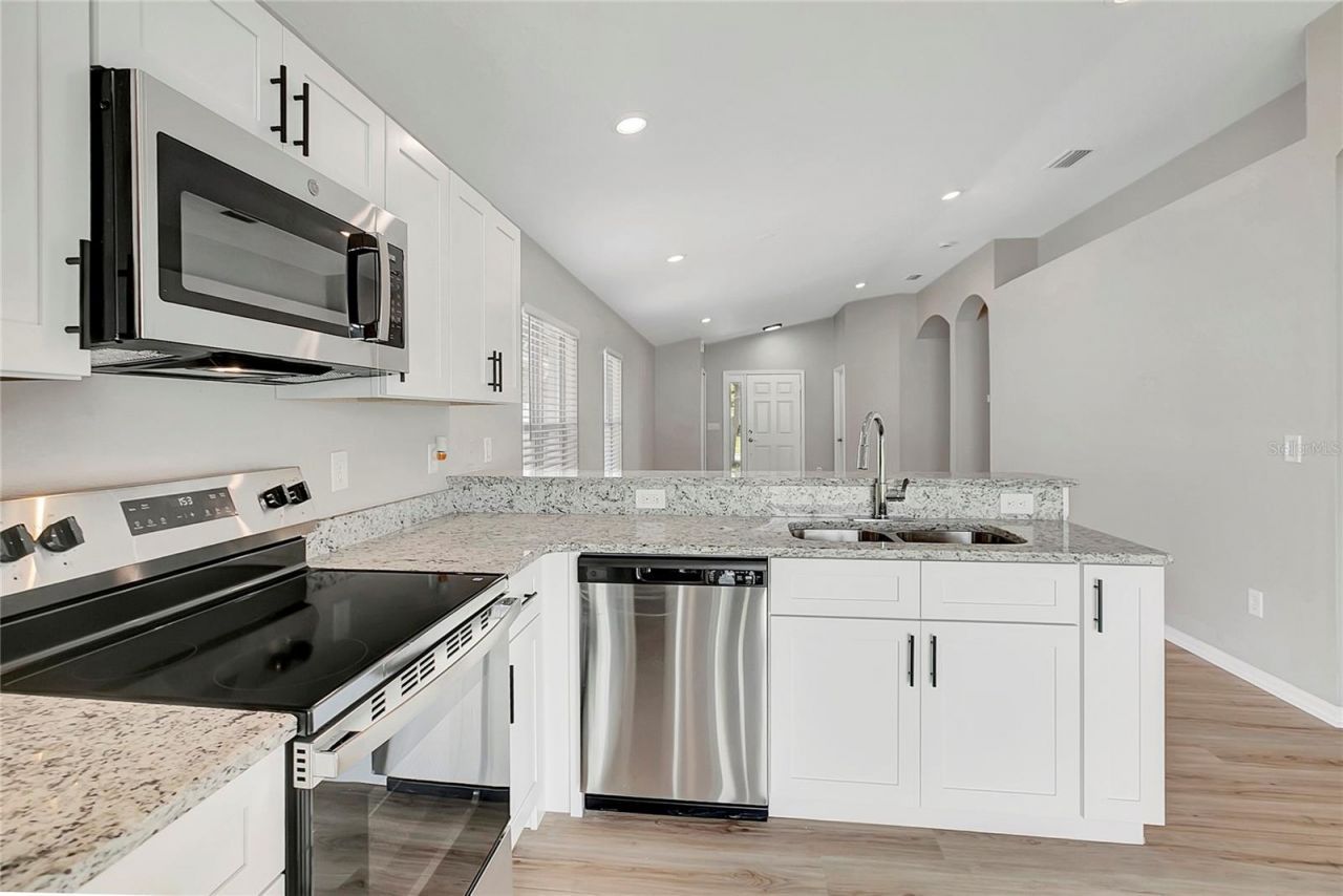 31107 Tagus Loop , Wesley Chapel, FL 33545 Photo