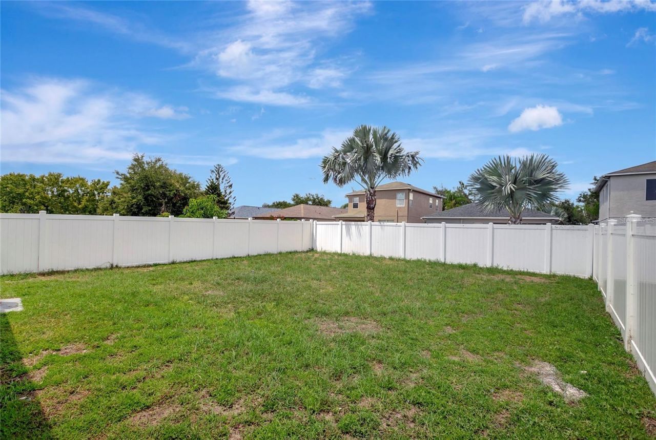 31107 Tagus Loop , Wesley Chapel, FL 33545 Photo