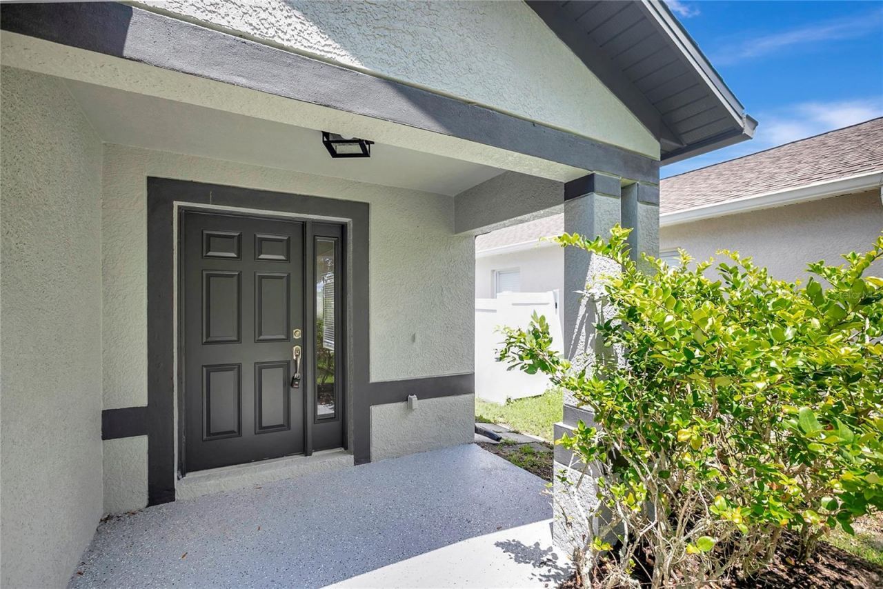 31107 Tagus Loop , Wesley Chapel, FL 33545 Photo