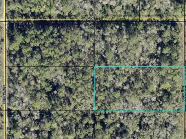 x LARS AVENUE , HASTINGS, FL 32145