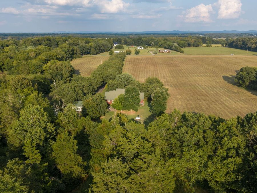 Property Image 38