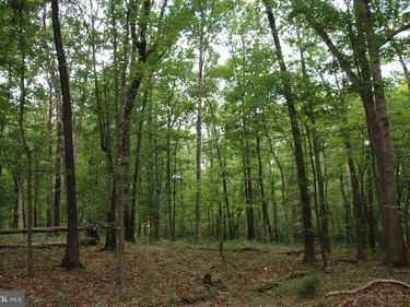 HABRON HOLLOW ROAD, FORT VALLEY, VA 22652
