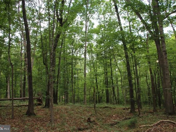 HABRON HOLLOW ROAD, FORT VALLEY, VA 22652