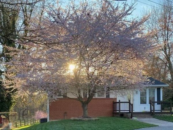 5193 OLD SOLOMONS ISLAND ROAD , LOTHIAN, MD 20711