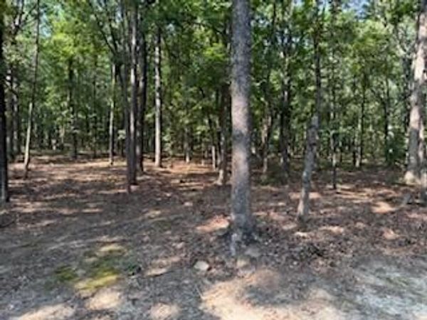 5.0 Acres: 24 Oak Ct and Tracy Ann Terr, Greers Ferry, AR 72067