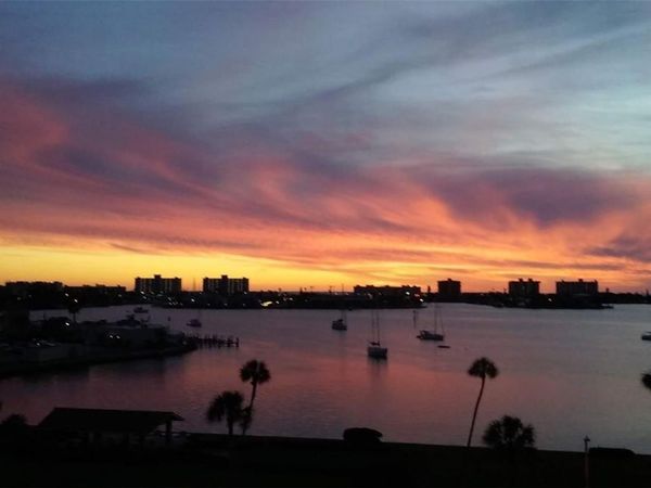 4550 COVE CIRCLE , Unit 505, ST PETERSBURG, FL 33708