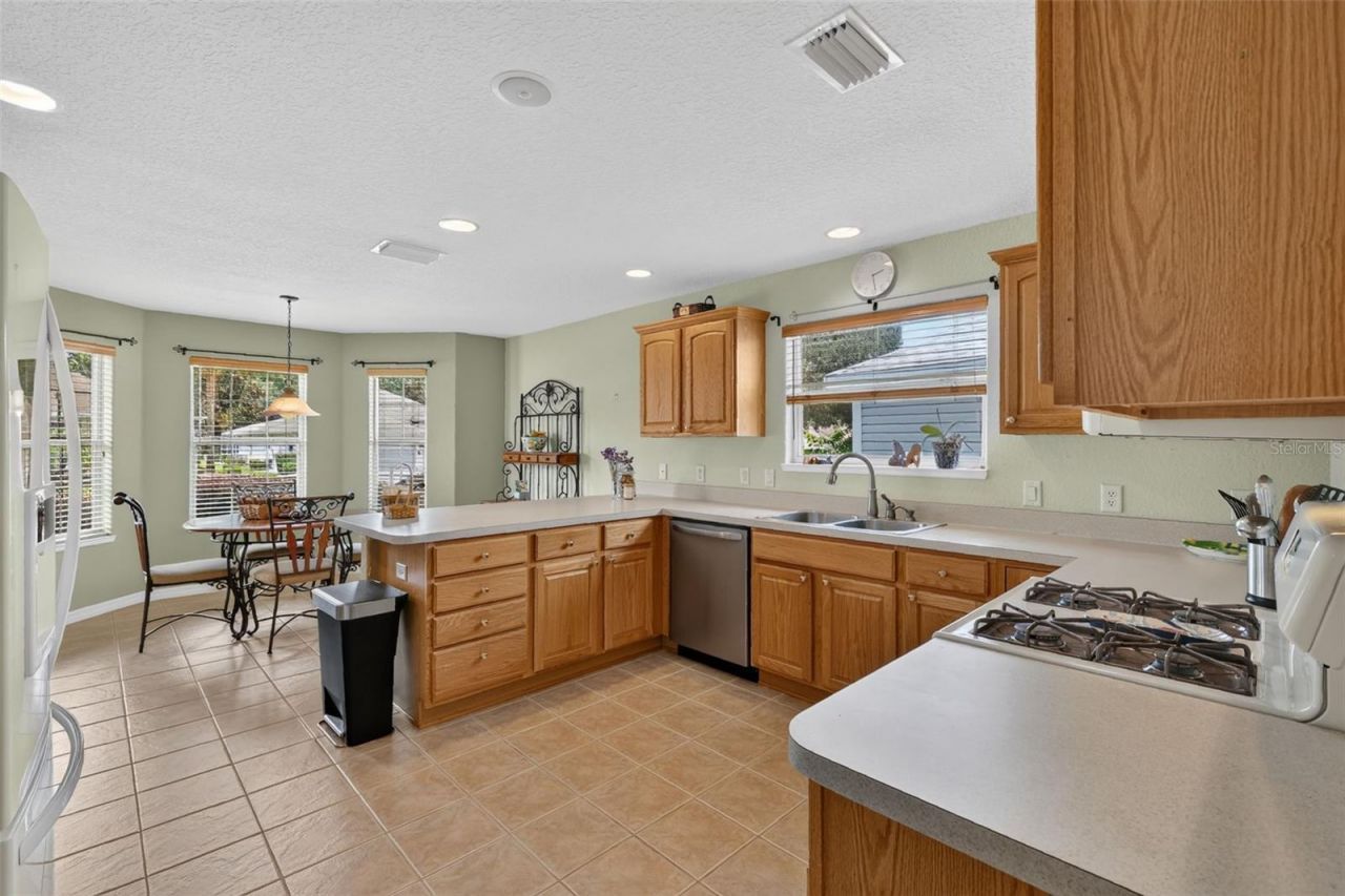 16573 SE 77th Northridge Court, The Villages, FL 32162 Photo