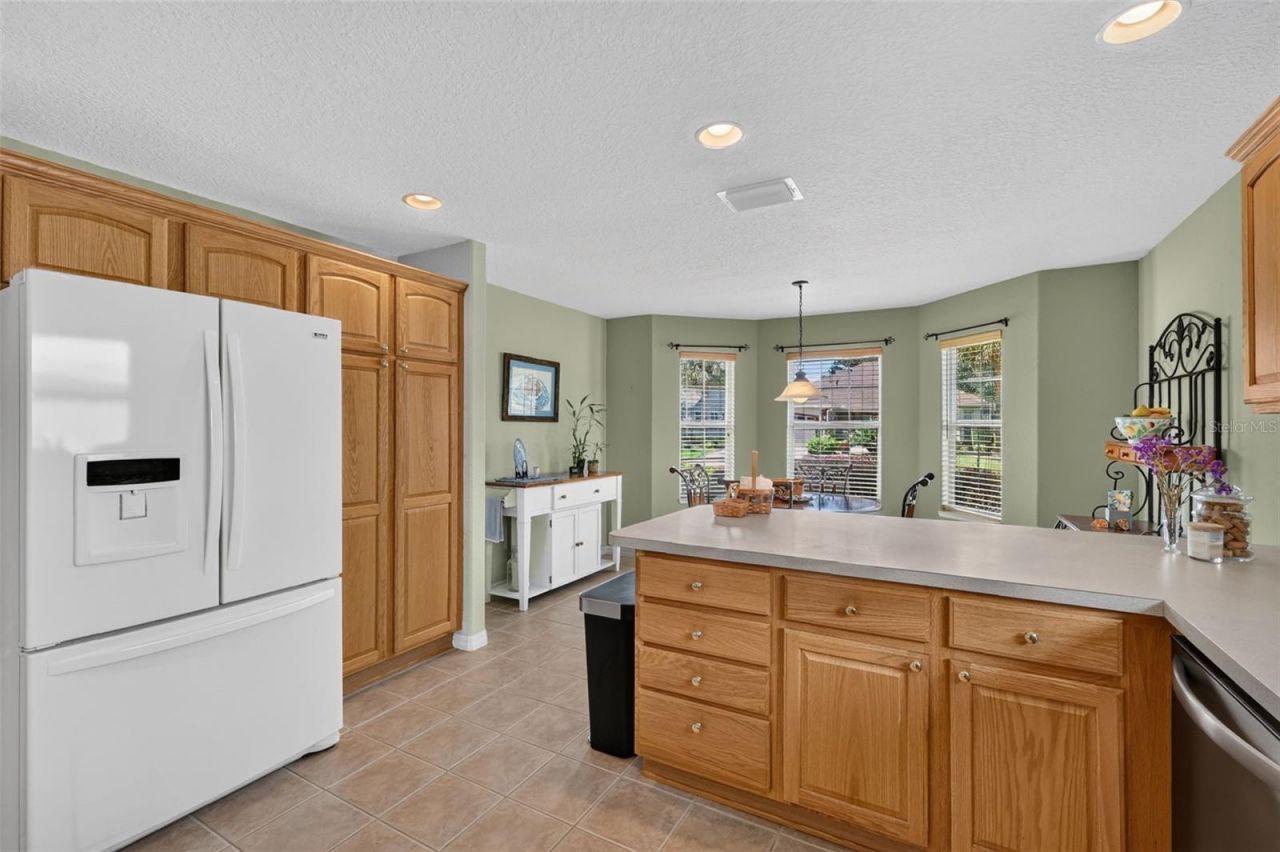 16573 SE 77th Northridge Court, The Villages, FL 32162 Photo