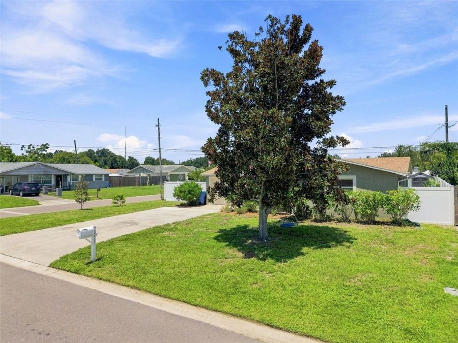 Property Image 64