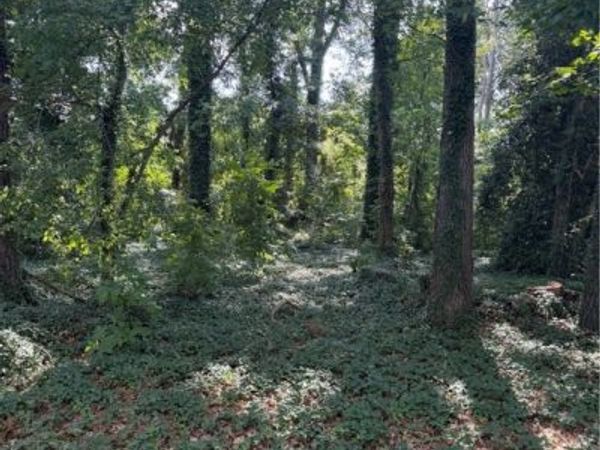 4811 Hopkins Road , Ampthill, VA 23234