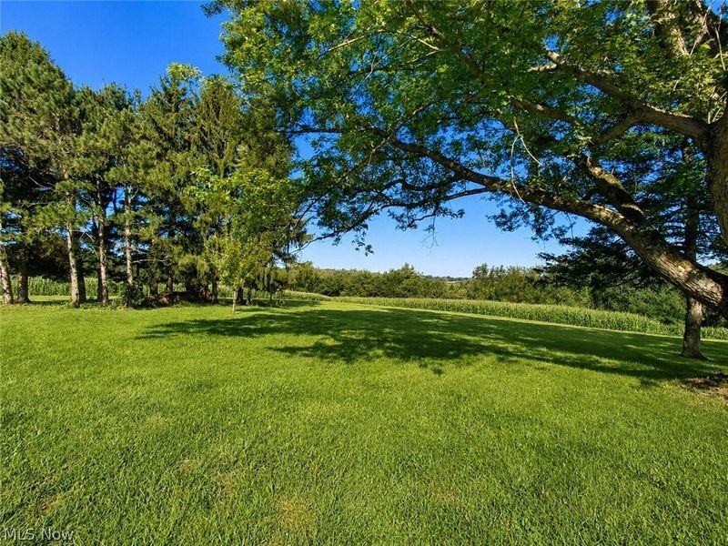 11489 Roller Coaster Road , Lisbon, OH 44432 Photo 38