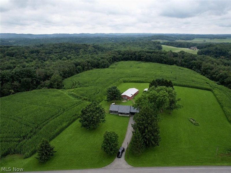 11489 Roller Coaster Road , Lisbon, OH 44432 Photo 39