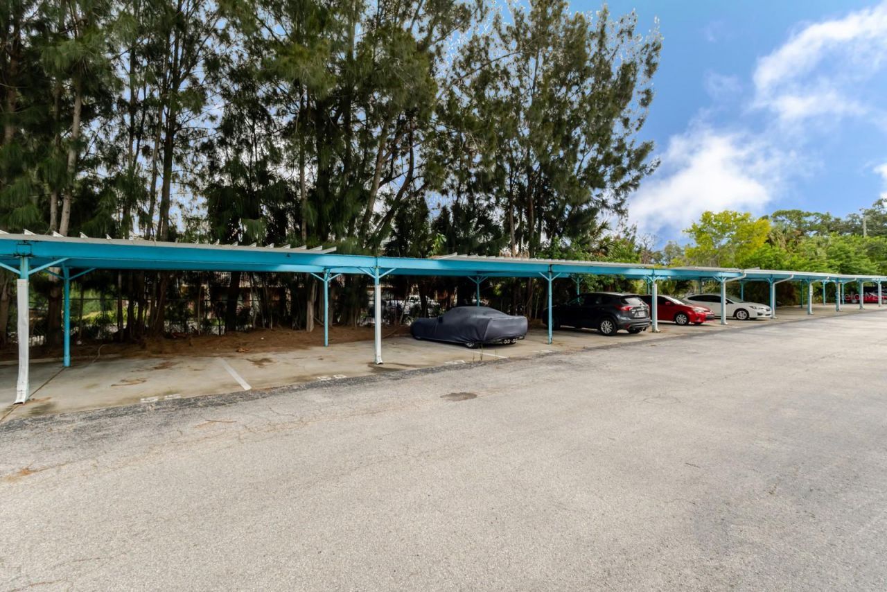 3315 58th Avenue S, Unit 222, Saint Petersburg, FL 33712 Photo