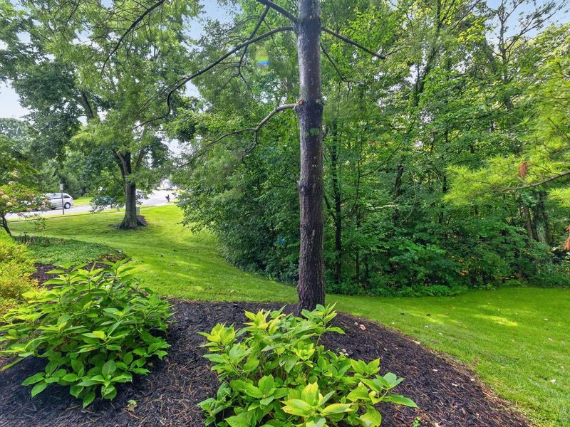 145 Ravine Ridge Drive S, Powell, OH 43065 Photo 62