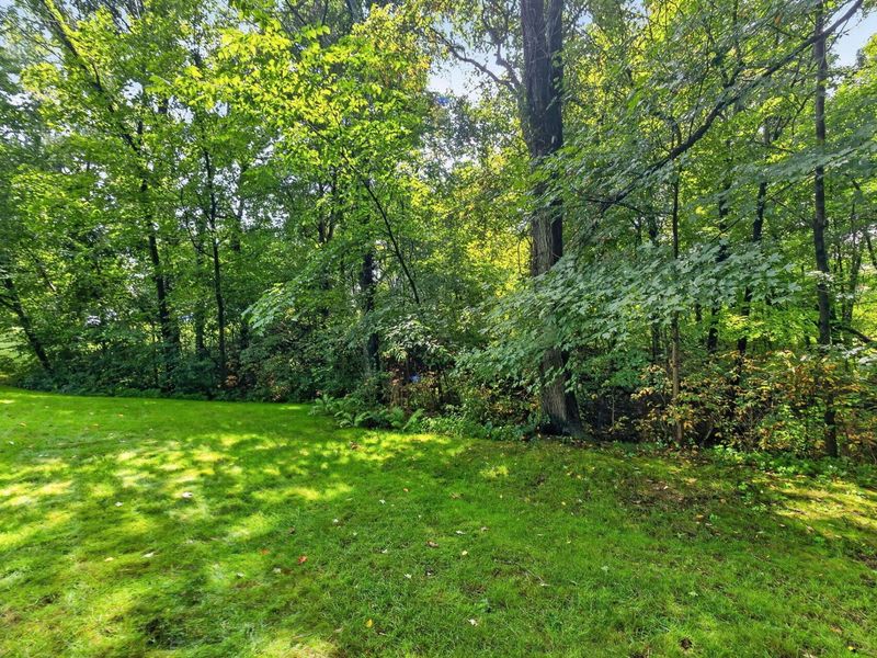 145 Ravine Ridge Drive S, Powell, OH 43065 Photo 70