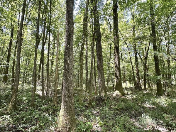 1 County Road 24 , Enterprise, MS 39330