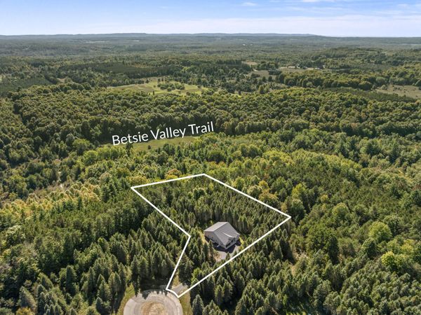 1358 S Lipp Farm Road, Benzonia, MI 49616