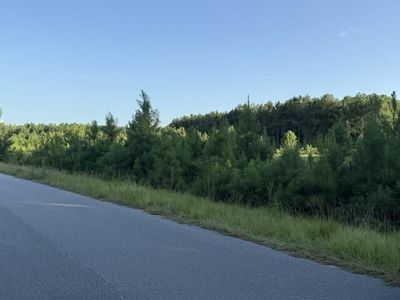 0 Charmaine Lane, Orangeburg, SC 29118
