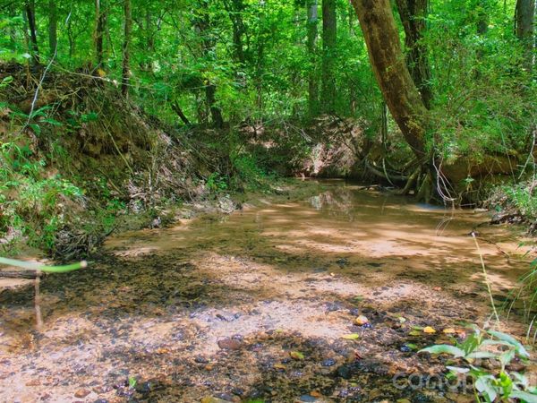 0 Clearwater Parkway , Rutherfordton, NC 28139