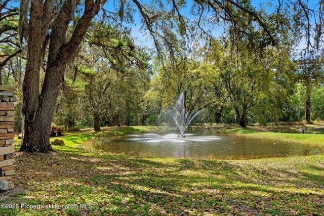 11200 Woodland Waters Boulevard , Weeki Wachee, FL 34613 Photo
