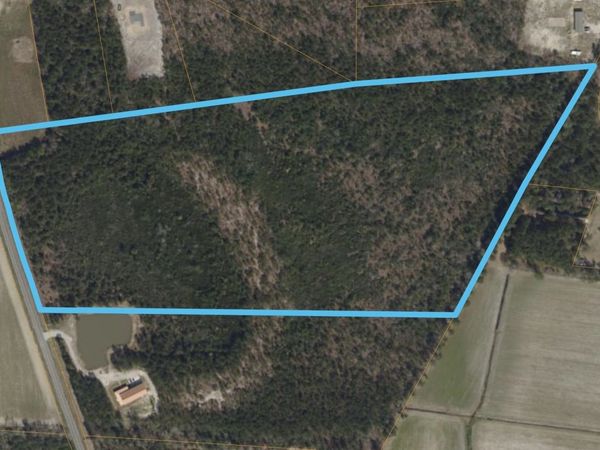 TBD Mill Pond Rd. , Galivants Ferry, SC 29544