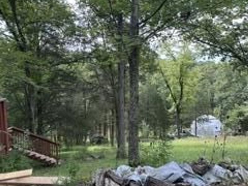 957 Bonar Road, Falmouth, KY 41040 Photo 19