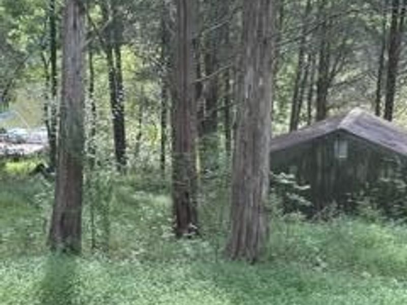 957 Bonar Road, Falmouth, KY 41040 Photo 23