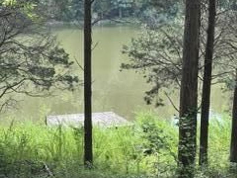 957 Bonar Road, Falmouth, KY 41040 Photo 26
