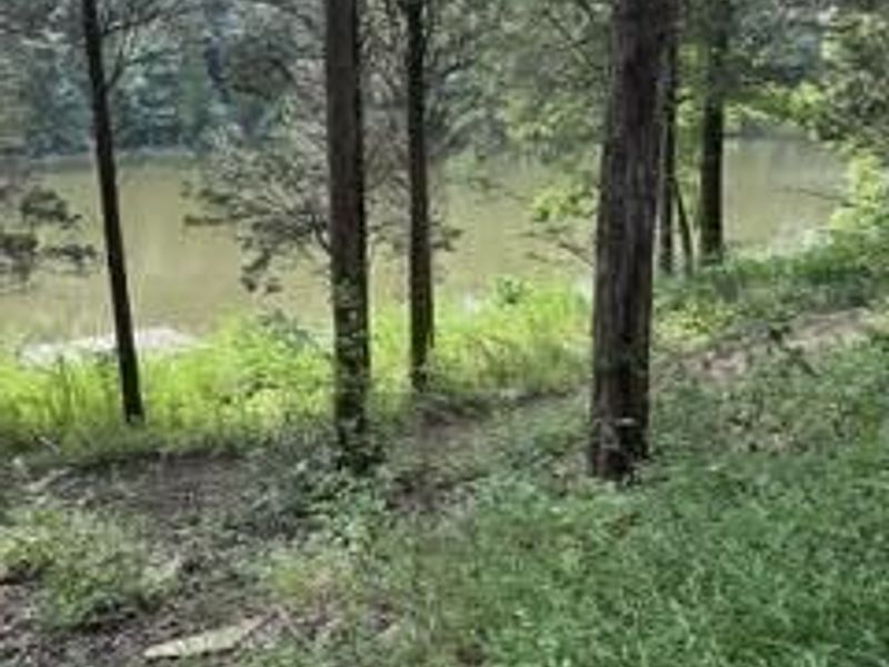 957 Bonar Road, Falmouth, KY 41040 Photo 27