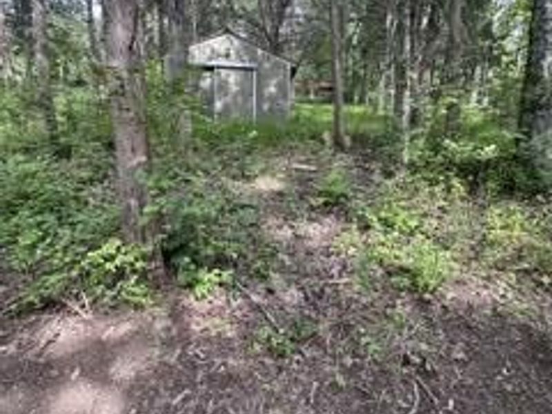957 Bonar Road, Falmouth, KY 41040 Photo 28