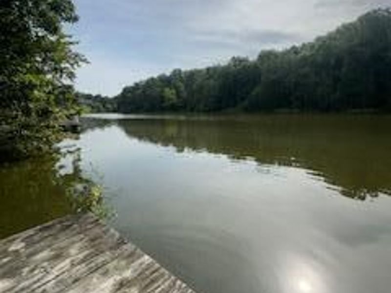 957 Bonar Road, Falmouth, KY 41040 Photo 30