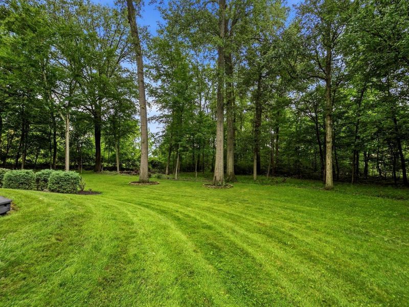 4375 Millwater Drive, Powell, OH 43065 Photo 49