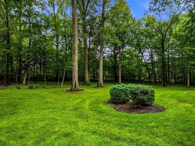 4375 Millwater Drive, Powell, OH 43065 Photo 50
