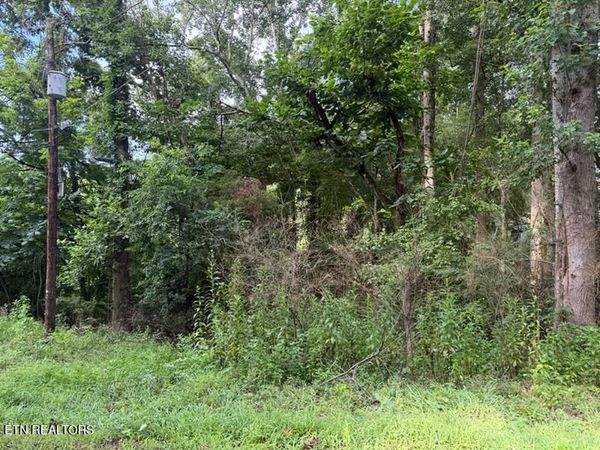 Black Jack Rd, Rockwood, TN 37854