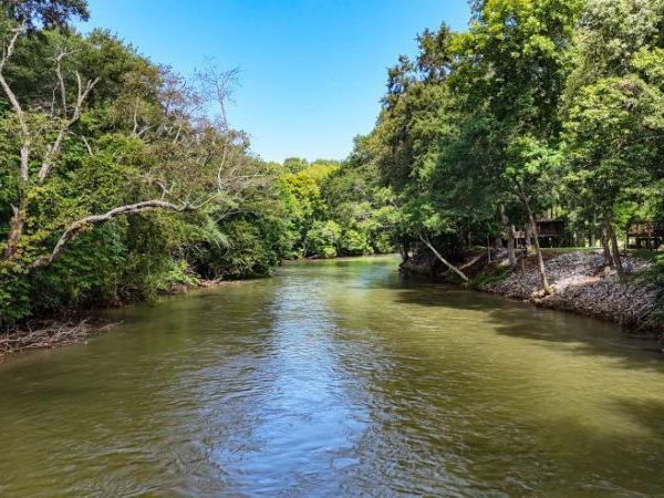 160 Tree Frog Lane, Benton, TN 37307