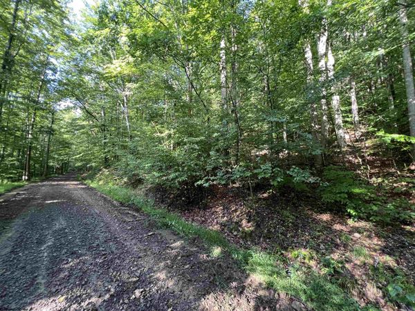 TBD Fallen Timber Road, Ireland, WV 26376